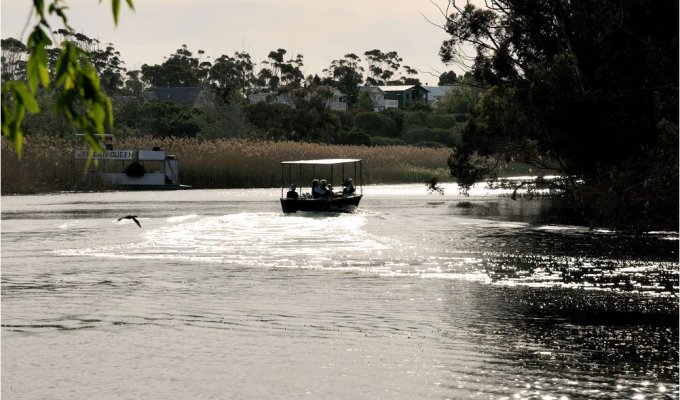 Stanford River